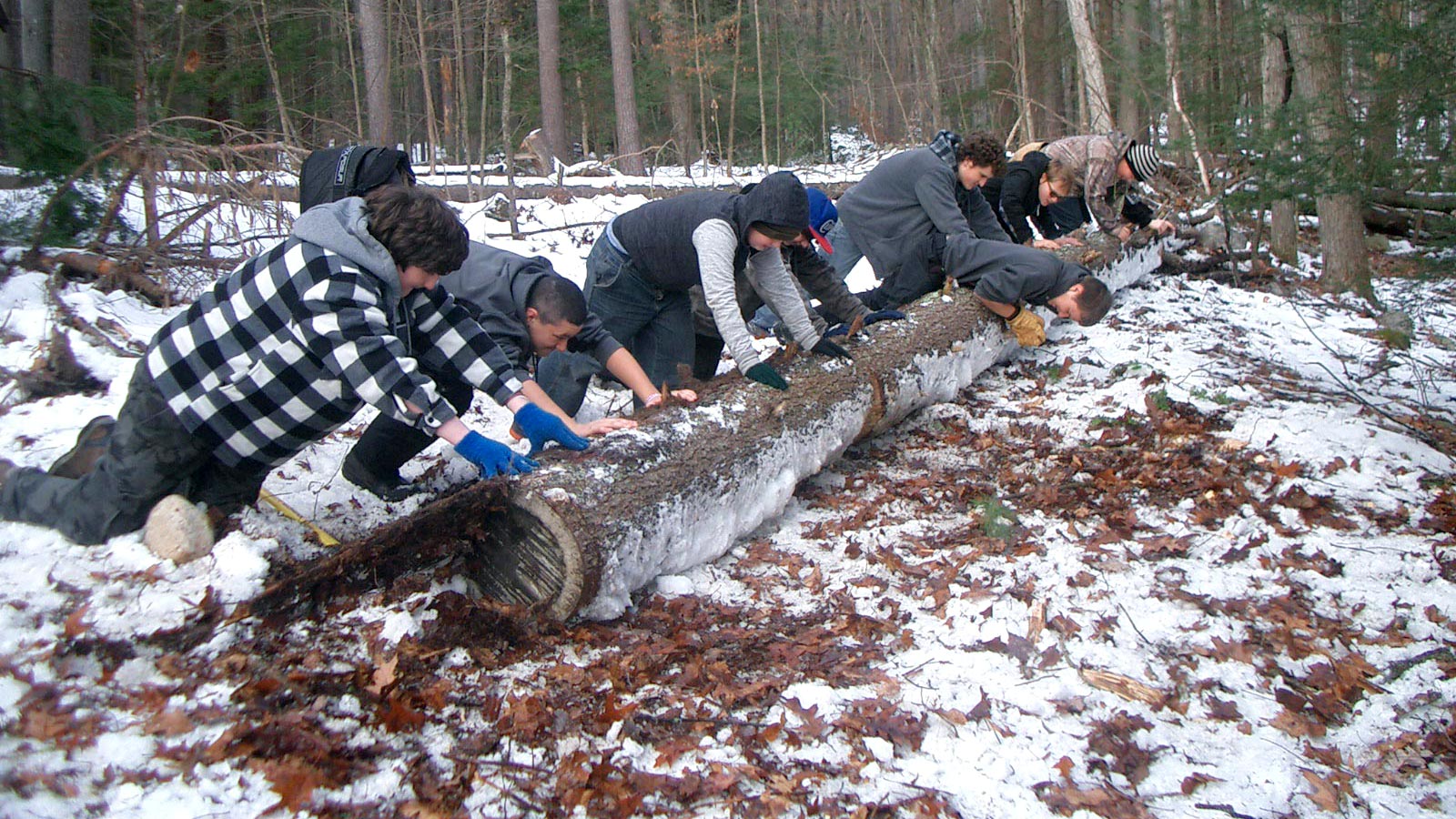 Troop 106 rolling a log together